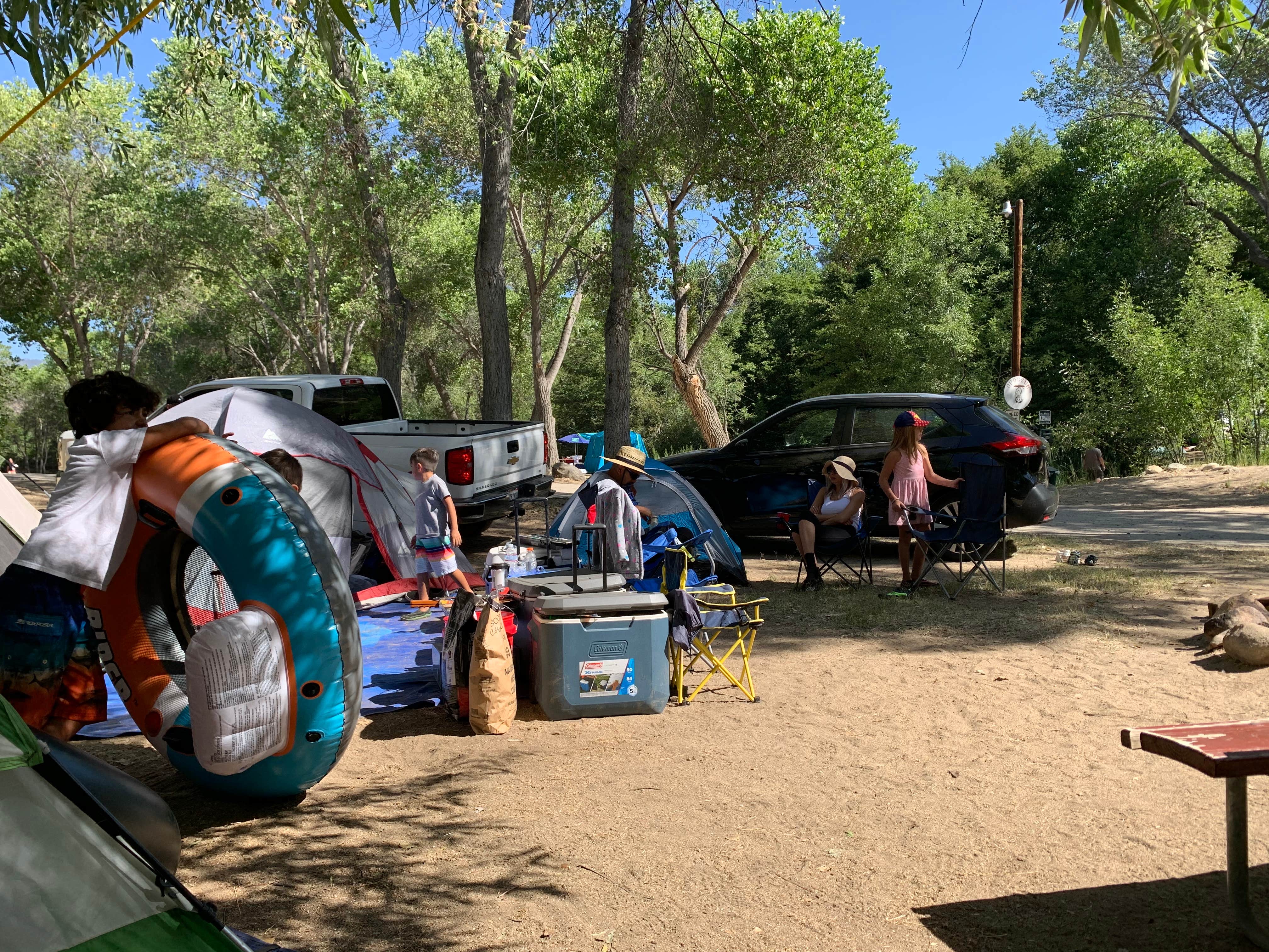 Alicia R.'s photo at Rivernook Campground in California
