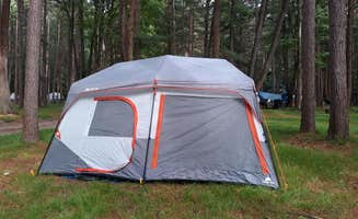 Leah L.'s photo at Cook Forest State Park Campground & Cabins in Pennsylvania