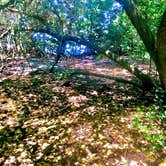 Review photo of Fort De Soto Campground by Tammy P., June 22, 2020