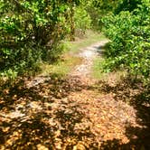 Review photo of Fort De Soto Campground by Tammy P., June 22, 2020