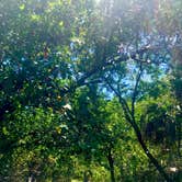 Review photo of Fort De Soto Campground by Tammy P., June 22, 2020