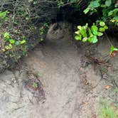 Review photo of Thousand Trails Pacific City by Josh H., June 22, 2020