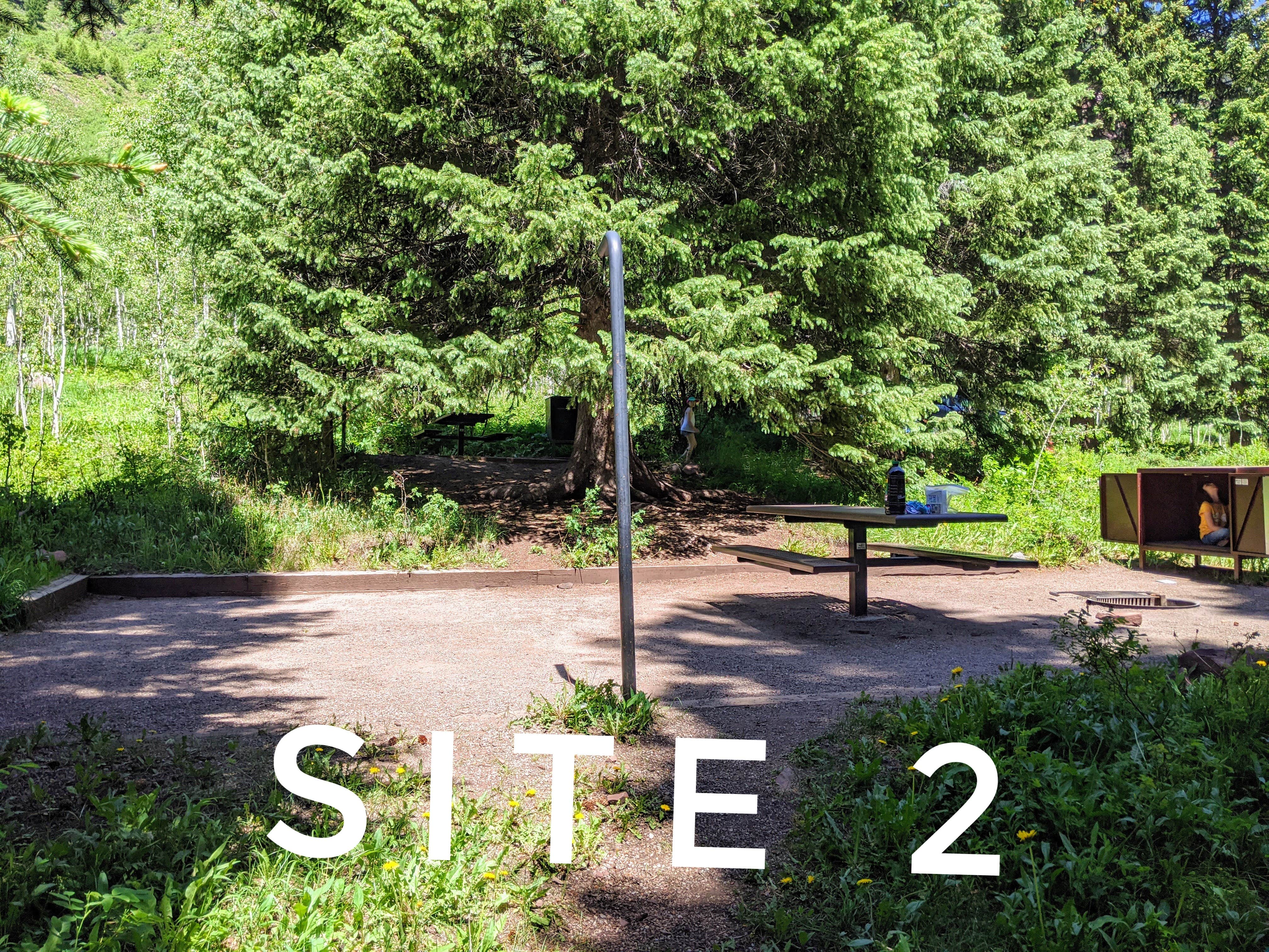 Camper submitted image from White River National Forest Silver Bell Campground - 4