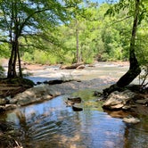 Review photo of Sweetwater Creek State Park Campground by Nicki L., June 22, 2020