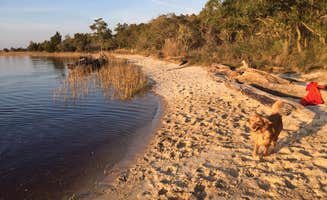 Angel K.'s photo of camping with pets at Carolina Beach State Park Campground near Burgaw, NC