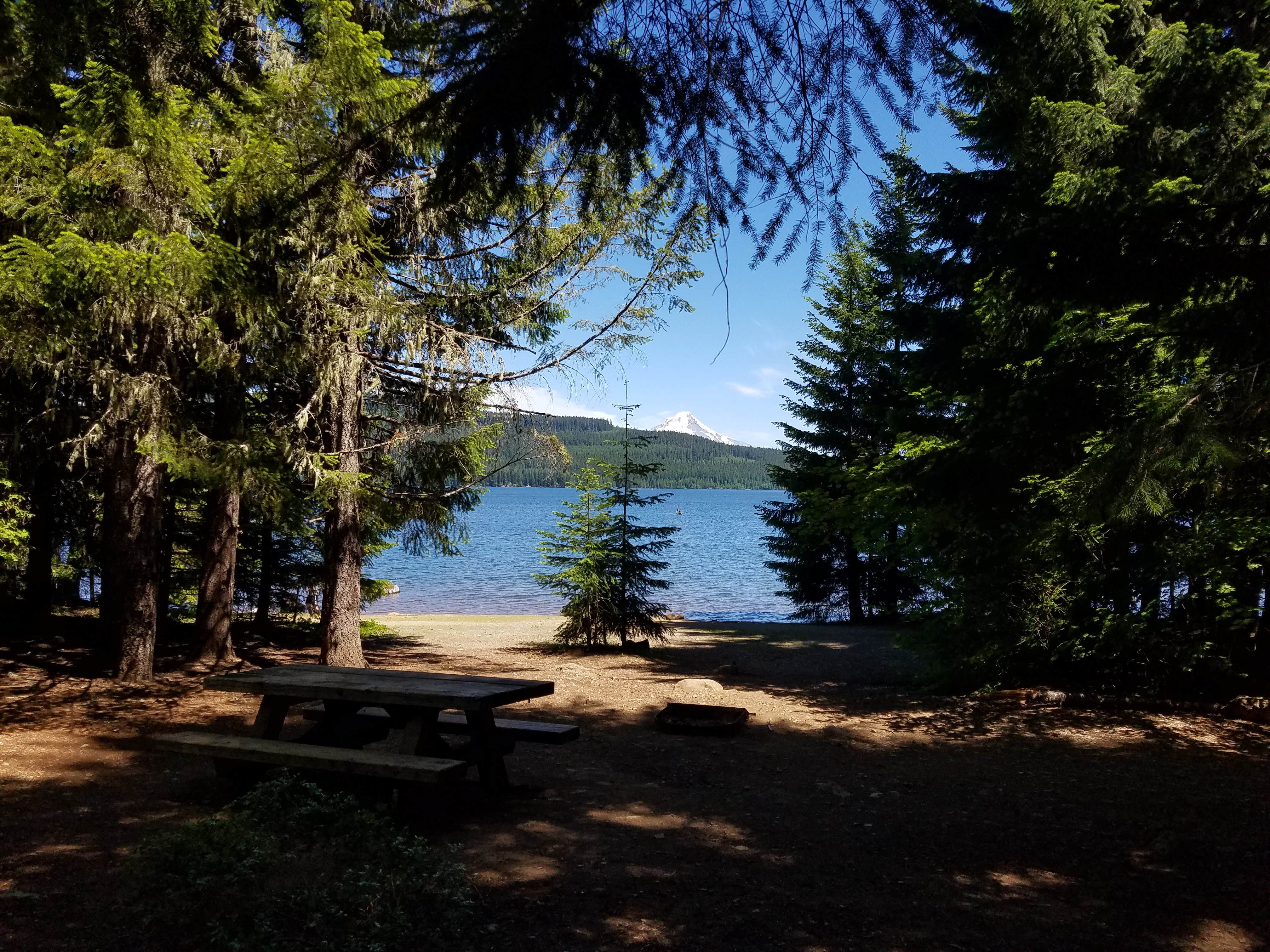Camper submitted image from Hoodview Campground - 4