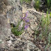 Review photo of Jacks Gulch - **CLOSED FOR SEASON** by Lara B., June 22, 2020