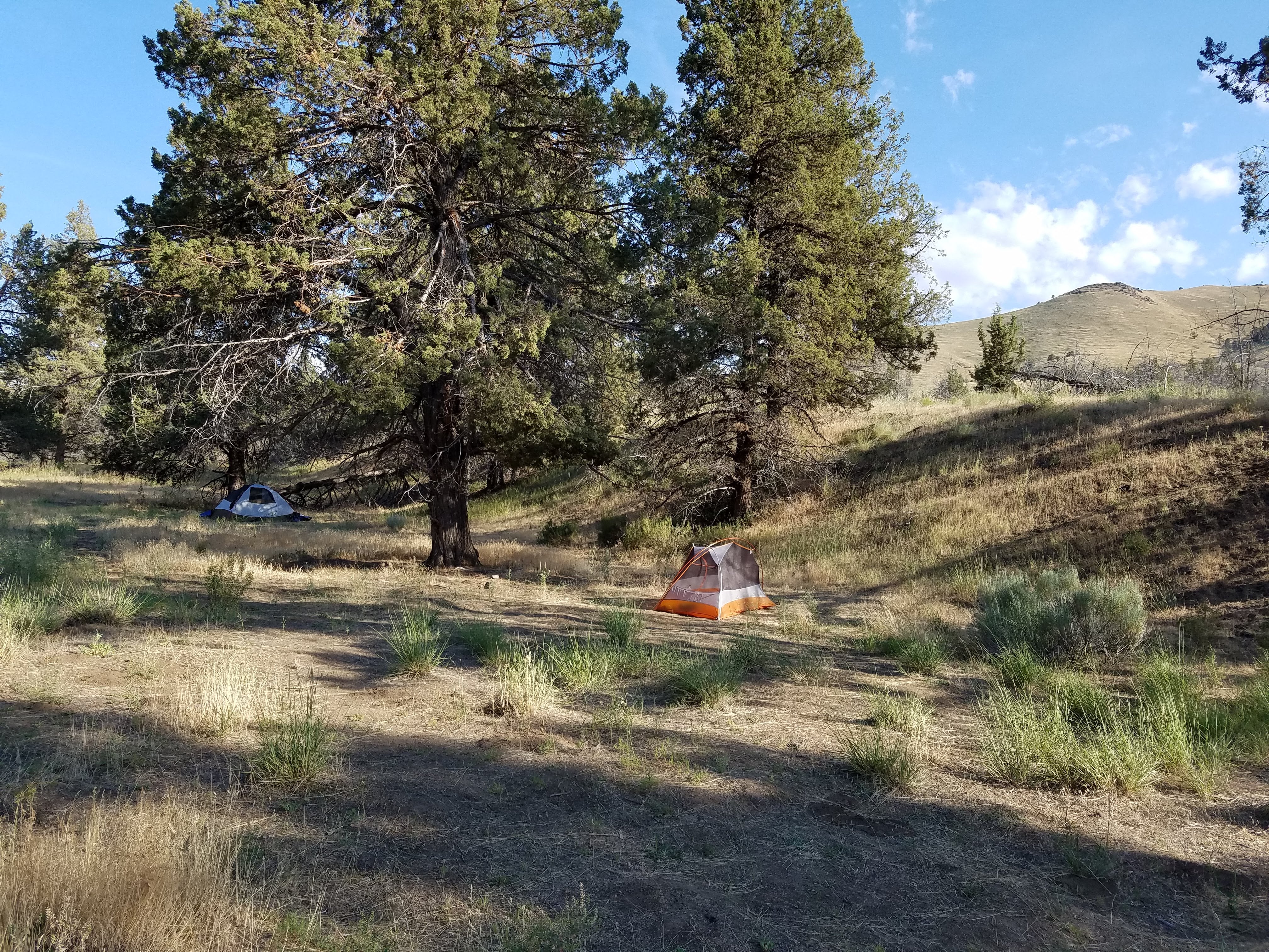 Camper submitted image from BLM John Day Wild and Scenic River - 1