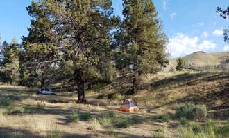 Camping near Bull Prairie Campground (OR): BLM John Day Wild and Scenic River, Mitchell, Oregon
