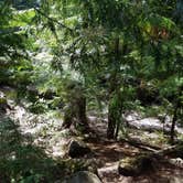 Review photo of Lost Lake Resort And Campground — Mt. Hood National Forest by Raphaela H., June 23, 2020