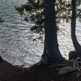 Review photo of Lost Lake Resort And Campground — Mt. Hood National Forest by Raphaela H., June 23, 2020