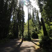 Review photo of Cresap Bay Campground by Kent R., June 22, 2020