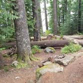Review photo of Lost Lake Resort And Campground — Mt. Hood National Forest by Raphaela H., June 23, 2020