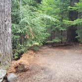 Review photo of Lost Lake Resort And Campground — Mt. Hood National Forest by Raphaela H., June 23, 2020