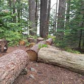 Review photo of Lost Lake Resort And Campground — Mt. Hood National Forest by Raphaela H., June 23, 2020