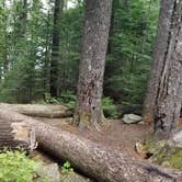 Review photo of Lost Lake Resort And Campground — Mt. Hood National Forest by Raphaela H., June 23, 2020