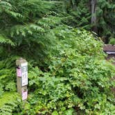 Review photo of Lost Lake Resort And Campground — Mt. Hood National Forest by Raphaela H., June 23, 2020