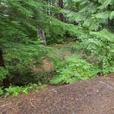 Review photo of Lost Lake Resort And Campground — Mt. Hood National Forest by Raphaela H., June 23, 2020