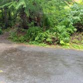 Review photo of Lost Lake Resort And Campground — Mt. Hood National Forest by Raphaela H., June 23, 2020