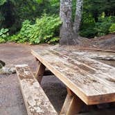 Review photo of Lost Lake Resort And Campground — Mt. Hood National Forest by Raphaela H., June 23, 2020