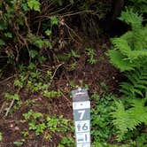 Review photo of Lost Lake Resort And Campground — Mt. Hood National Forest by Raphaela H., June 23, 2020