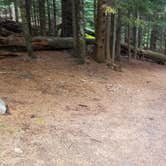 Review photo of Lost Lake Resort And Campground — Mt. Hood National Forest by Raphaela H., June 23, 2020