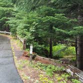 Review photo of Lost Lake Resort And Campground — Mt. Hood National Forest by Raphaela H., June 23, 2020