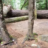 Review photo of Lost Lake Resort And Campground — Mt. Hood National Forest by Raphaela H., June 23, 2020