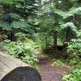 Review photo of Lost Lake Resort And Campground — Mt. Hood National Forest by Raphaela H., June 23, 2020