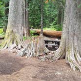 Review photo of Lost Lake Resort And Campground — Mt. Hood National Forest by Raphaela H., June 23, 2020