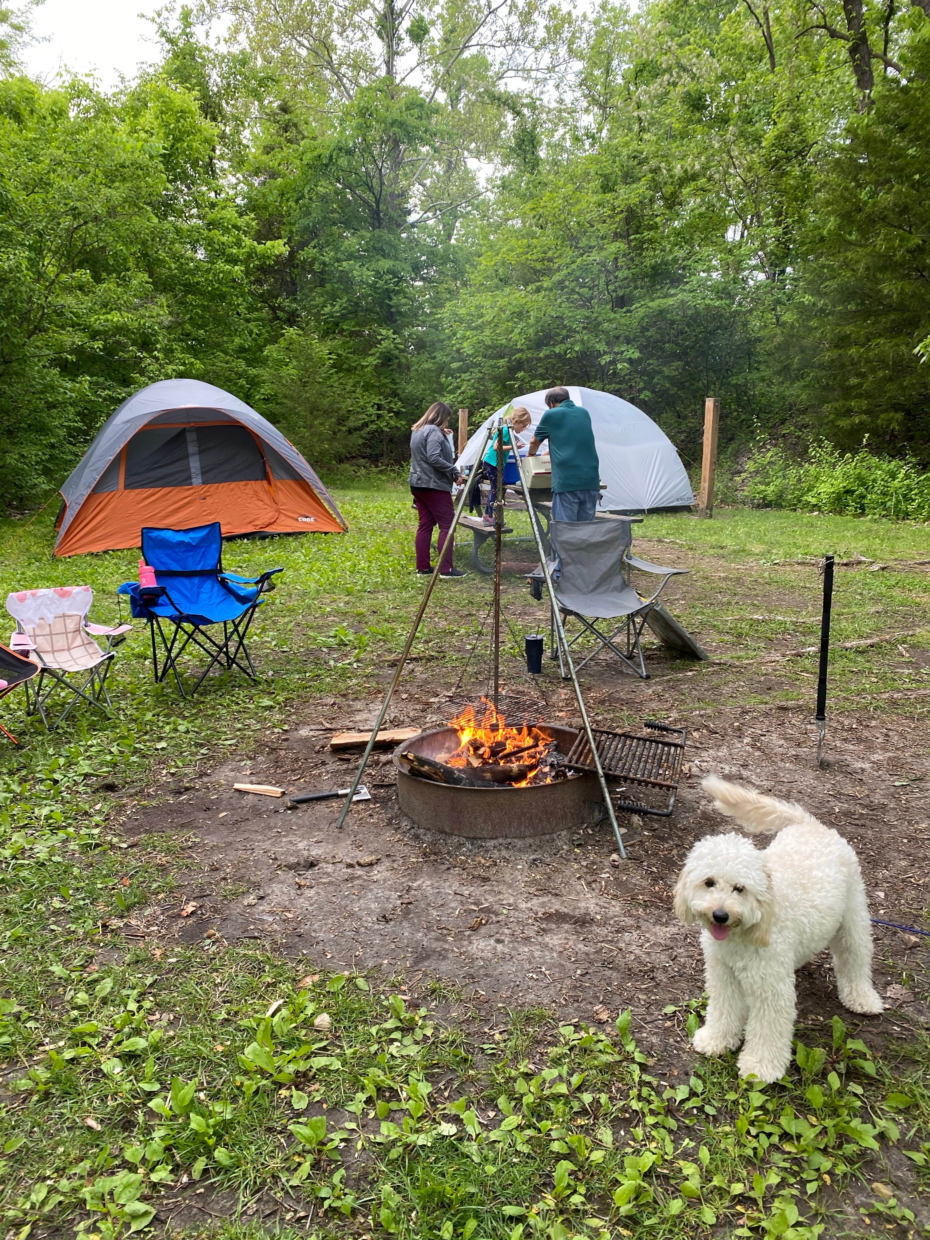 Tony M.'s photo of tent camping at Klondike Park near Owensville, MO