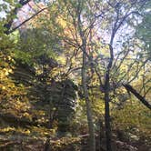 Review photo of Starved Rock Campground — Starved Rock State Park by Jamie G., June 23, 2020