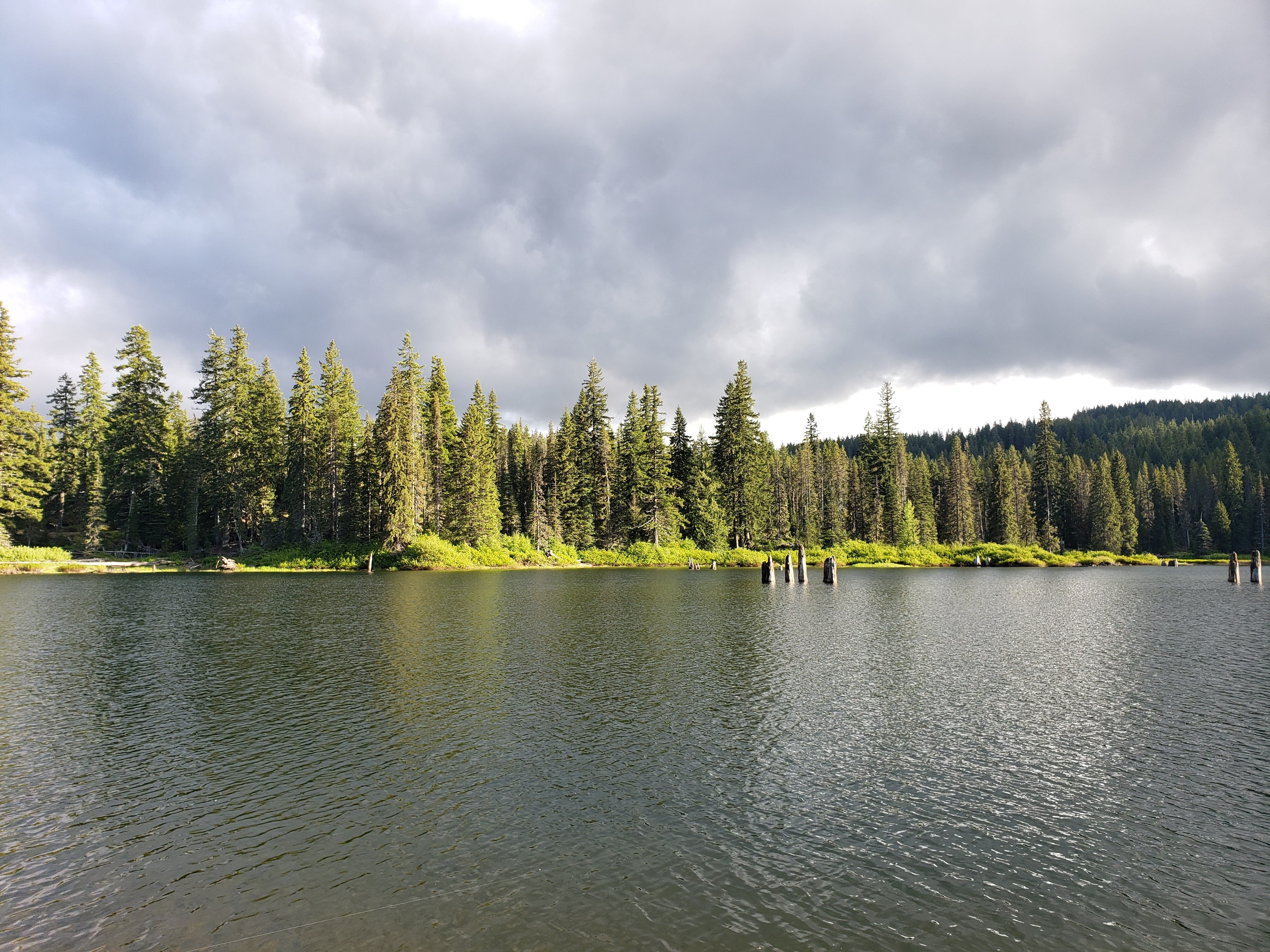 Camper submitted image from Goose Lake Campground - 4