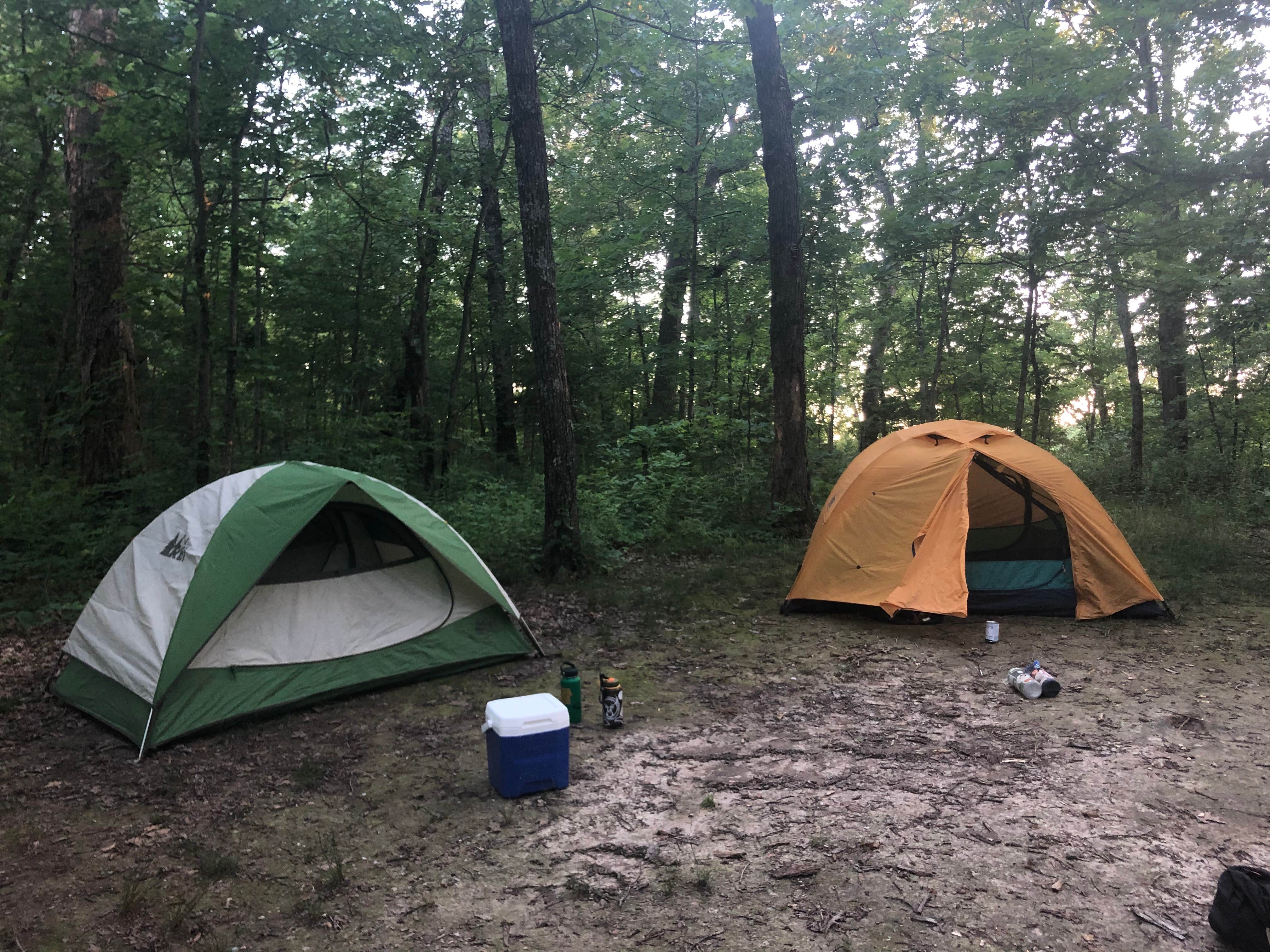 Three Creeks Conservation Area Camping | Ashland, Missouri