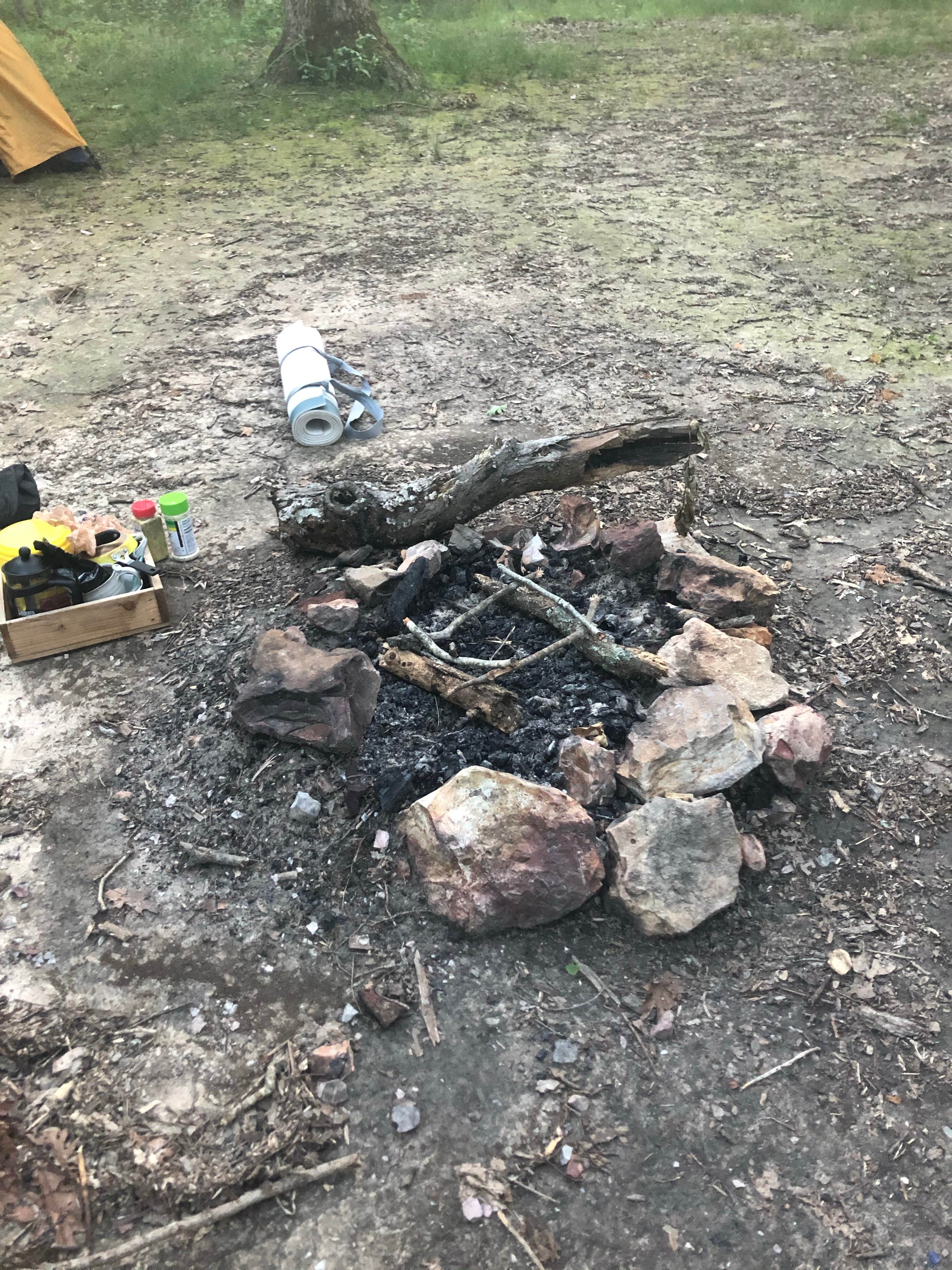 Lucille W.'s photo of a dispersed camping area at Three Creeks Conservation Area near Higbee, MO