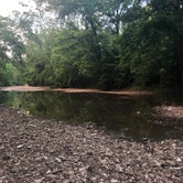 Review photo of Three Creeks Conservation Area by Lucille W., June 23, 2020
