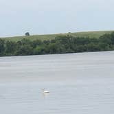 Review photo of Big Stone Lake State Park Campground by Ason S., June 23, 2020