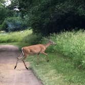 Review photo of Big Stone Lake State Park Campground by Ason S., June 23, 2020