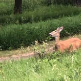 Review photo of Big Stone Lake State Park Campground by Ason S., June 23, 2020