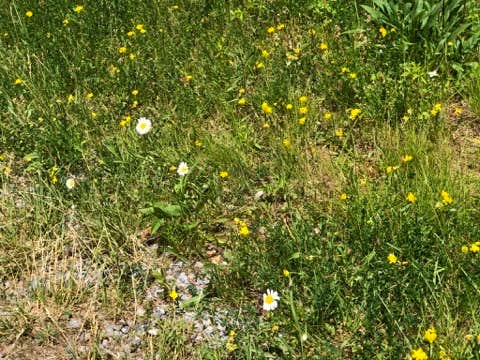 Camper-submitted photo at Parker Dam State Park Campground near Falls Creek, PA