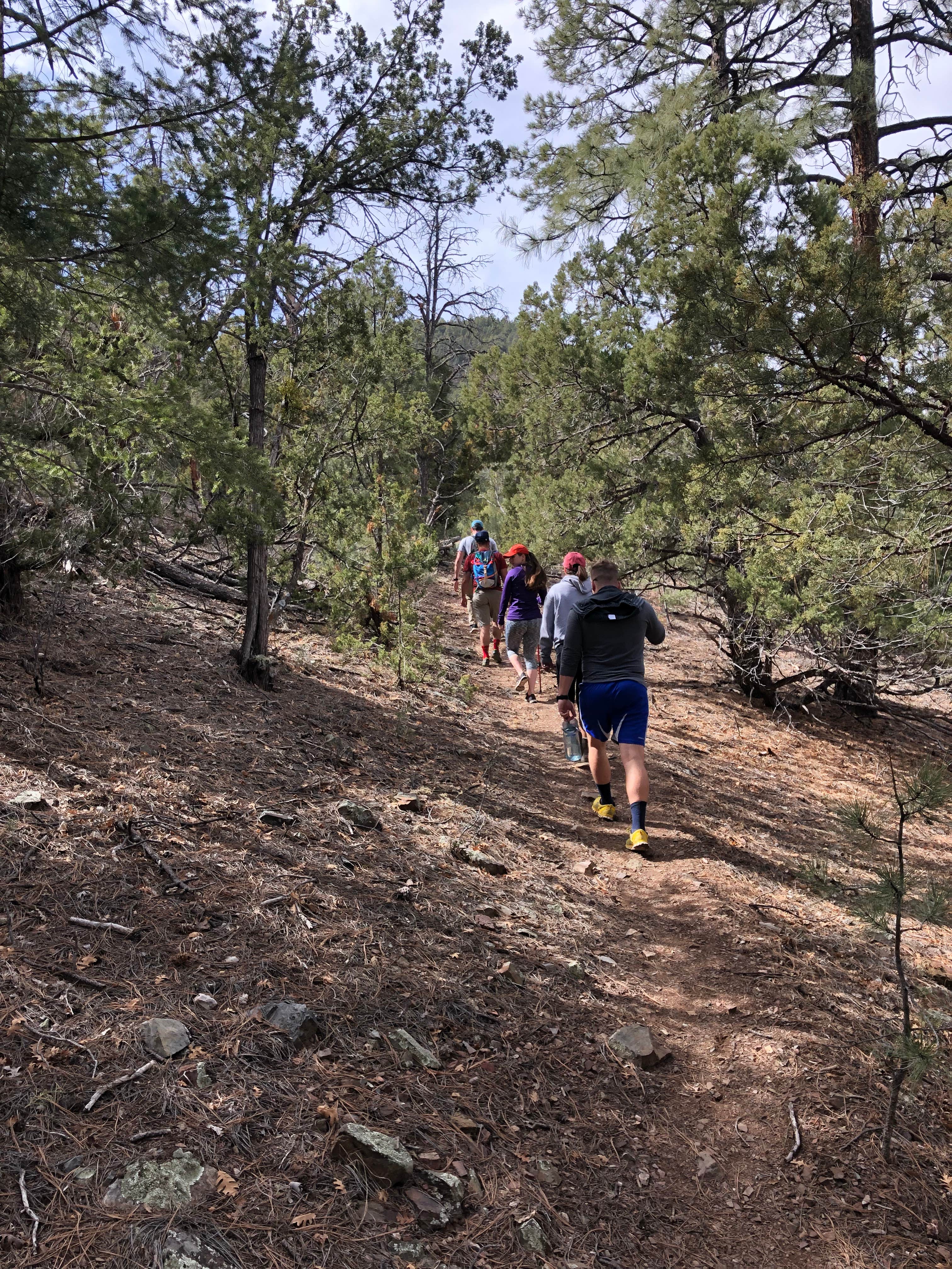 Camper submitted image from Cibola National Forest Luna Park Campground - 4