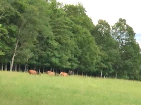 Camper-submitted photo at Parker Dam State Park Campground near Falls Creek, PA