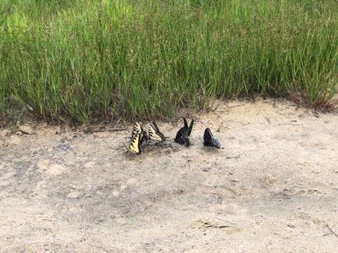 Camper-submitted photo at Parker Dam State Park Campground near Falls Creek, PA