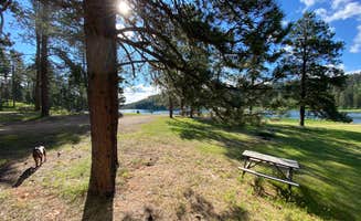 Hannah P.'s photo of camping with pets at Iron Creek Lake Campground near Beulah, WY