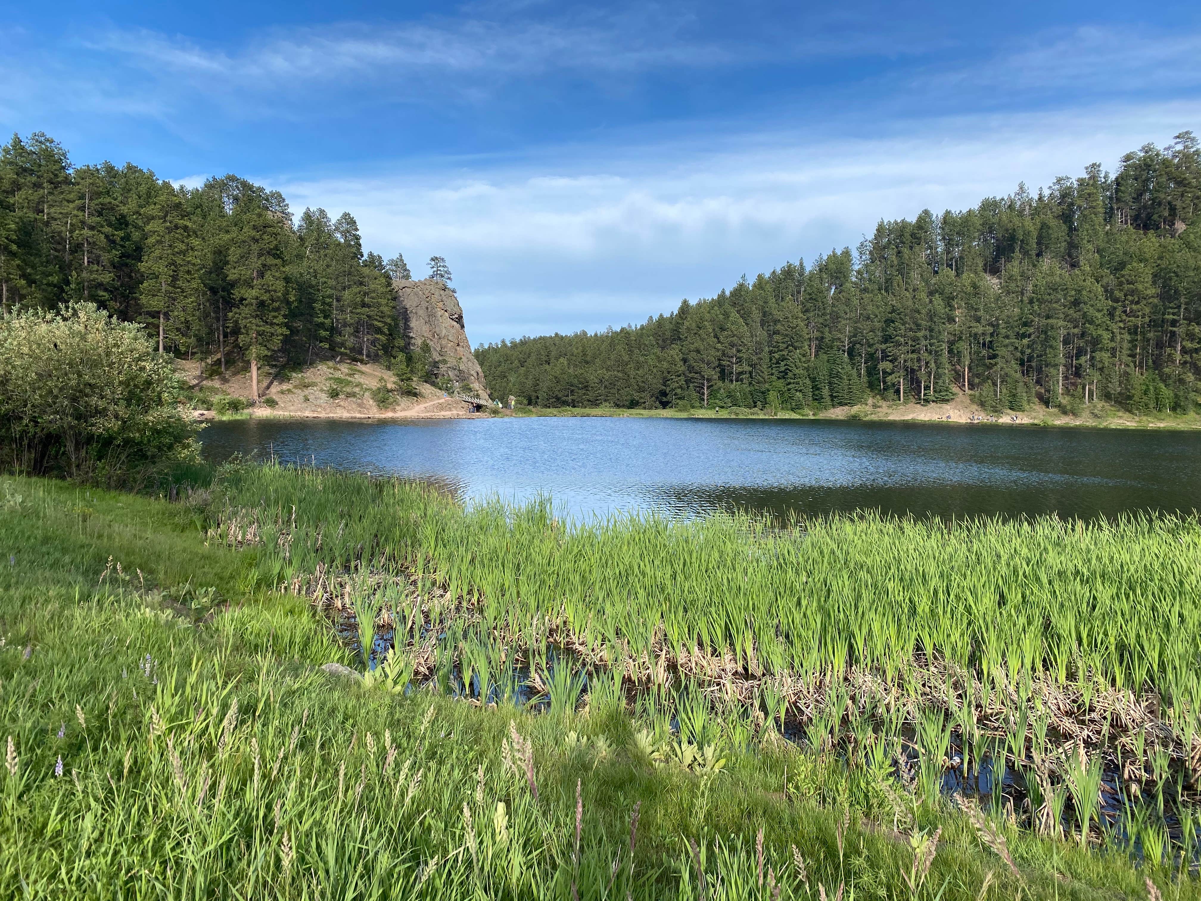 Camper-submitted photo at Iron Creek Lake Campground near Lead, SD