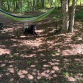 Review photo of Franklin D Roosevelt State Park Campground by Elizabeth G., June 23, 2020