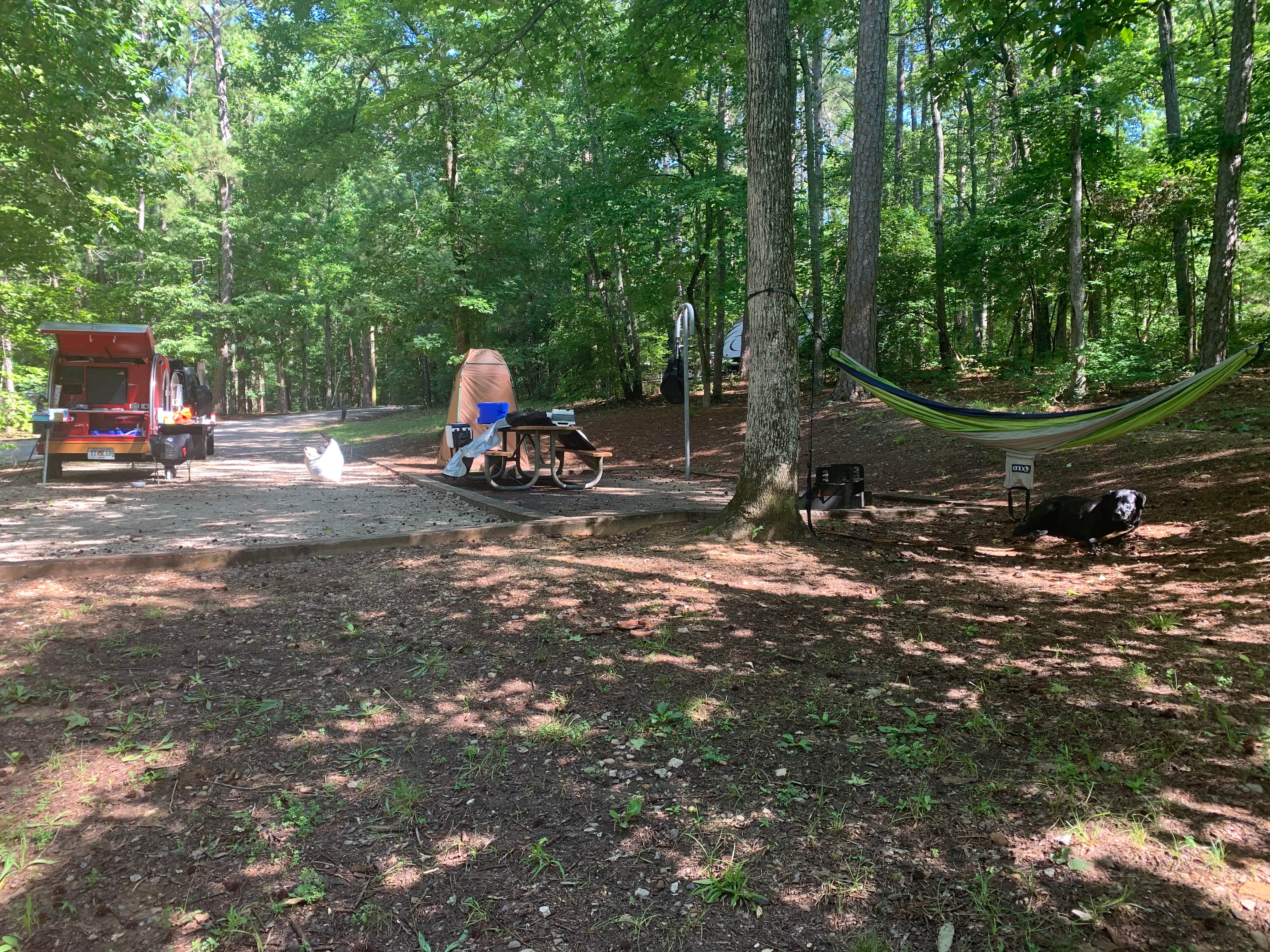 Elizabeth G.'s photo at Franklin D Roosevelt State Park Campground near Warm Springs, GA