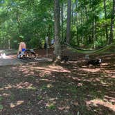 Review photo of Franklin D Roosevelt State Park Campground by Elizabeth G., June 23, 2020