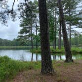 Review photo of Franklin D Roosevelt State Park Campground by Elizabeth G., June 23, 2020