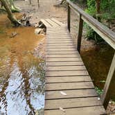 Review photo of Franklin D Roosevelt State Park Campground by Elizabeth G., June 23, 2020